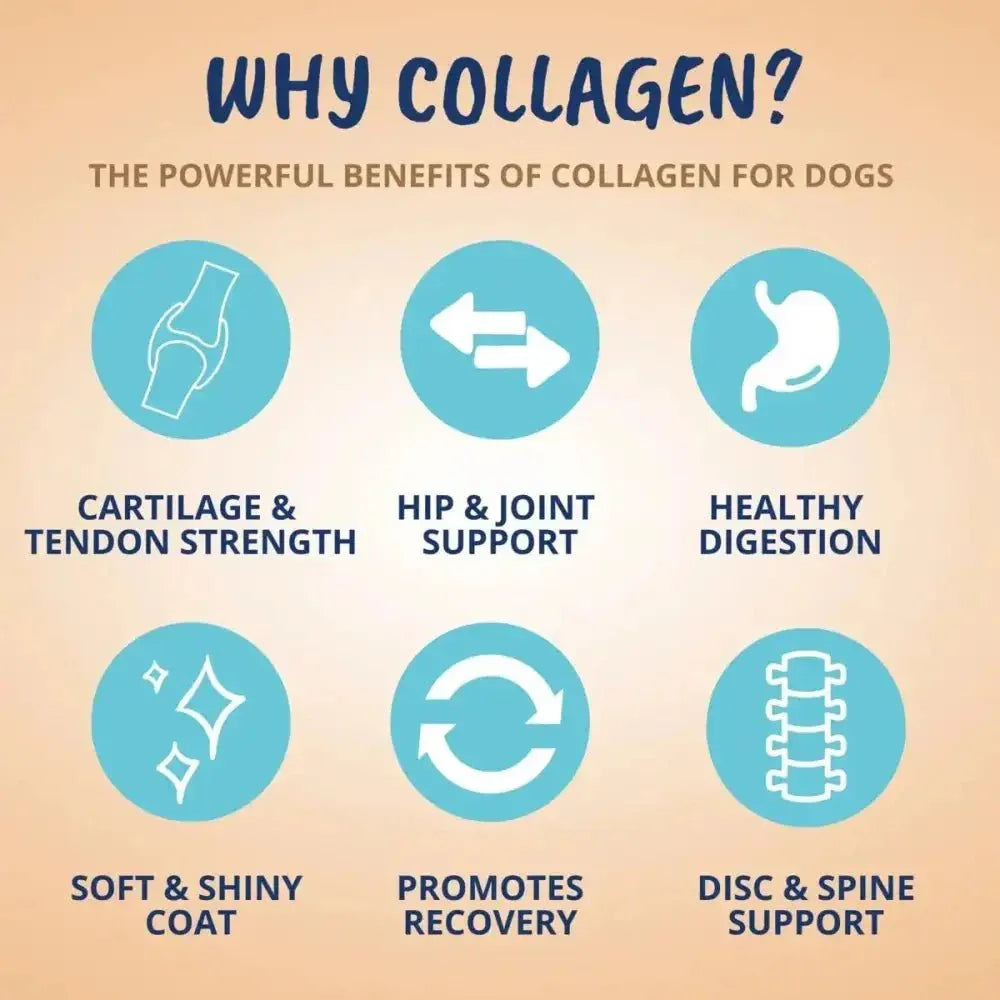 Under the Weather Collagen Soft Chew for Dogs 3.5oz - Talis Us