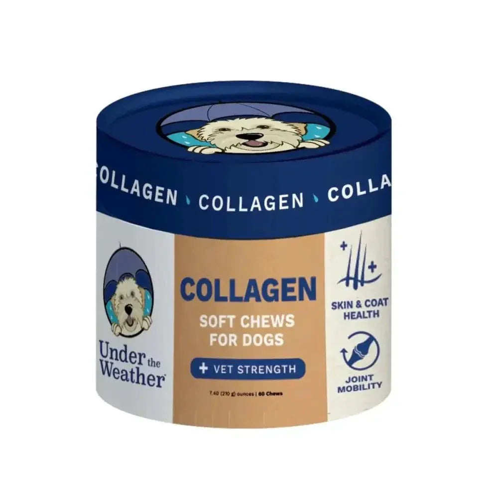Under the Weather Collagen Soft Chew for Dogs 3.5oz - Talis Us