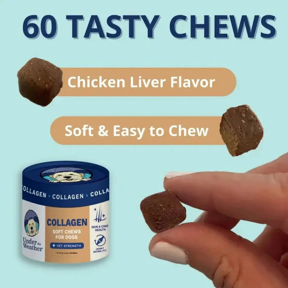 Under the Weather Collagen Soft Chew for Dogs 3.5oz - Talis Us