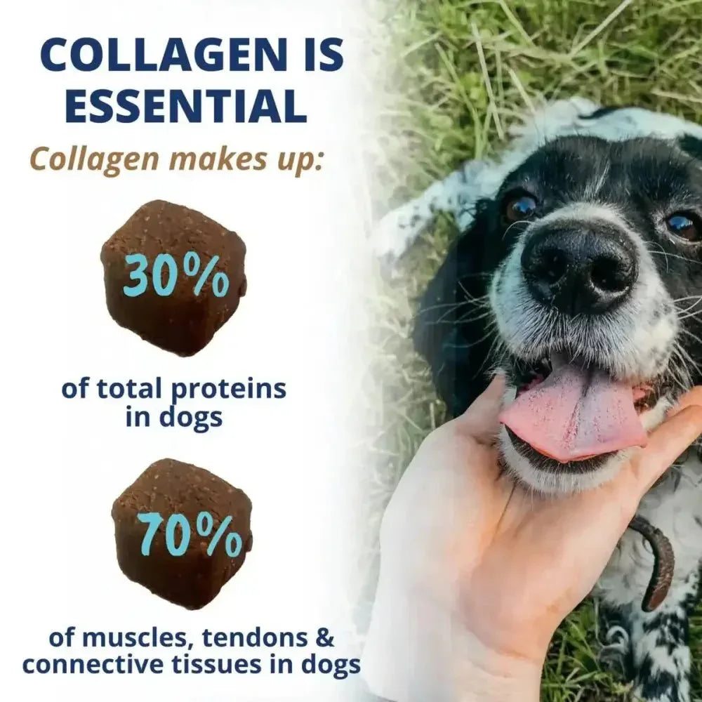 Under the Weather Collagen Soft Chew for Dogs 3.5oz - Talis Us