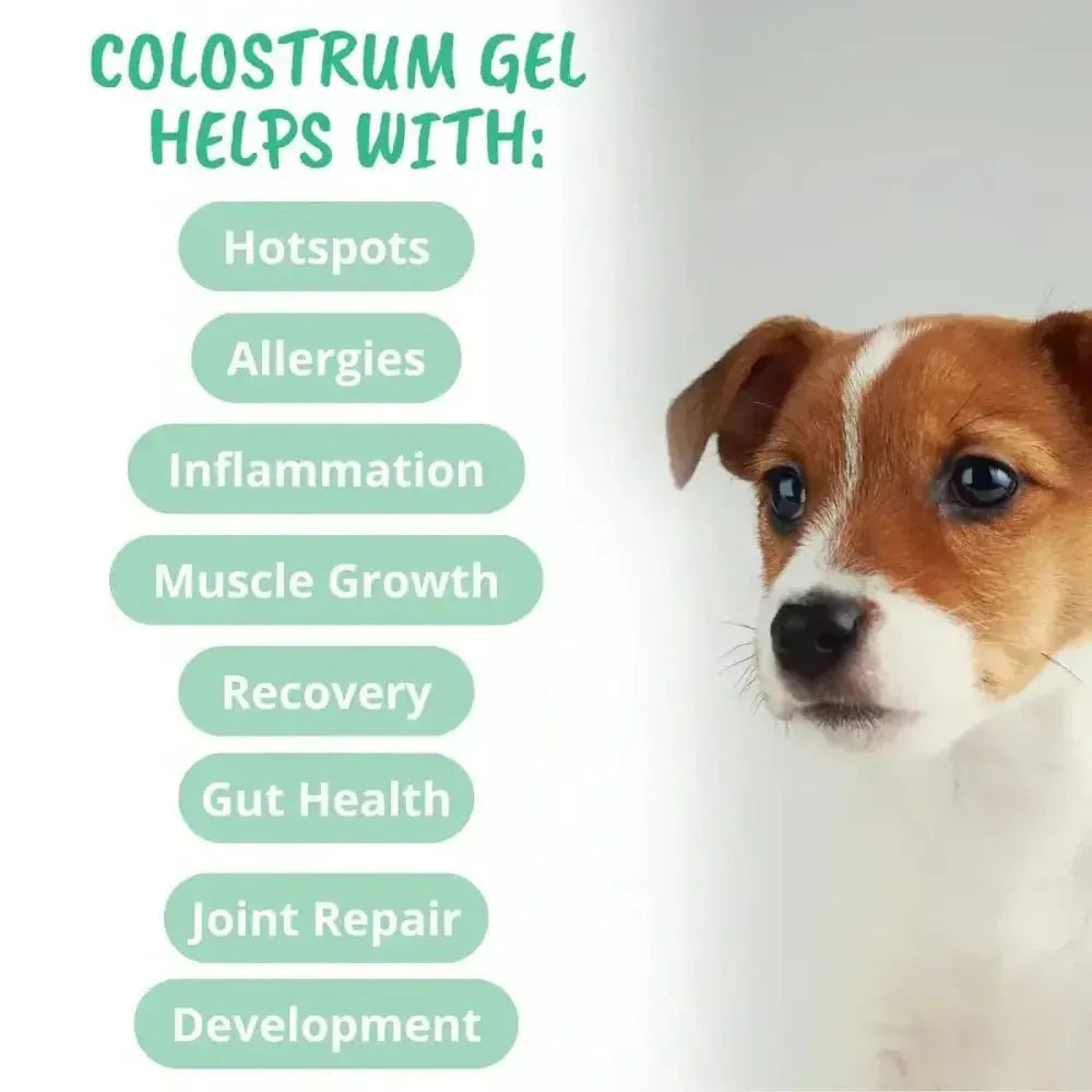 Under the Weather Colostrum Gel Squeezable for Dogs 30cc - Talis Us