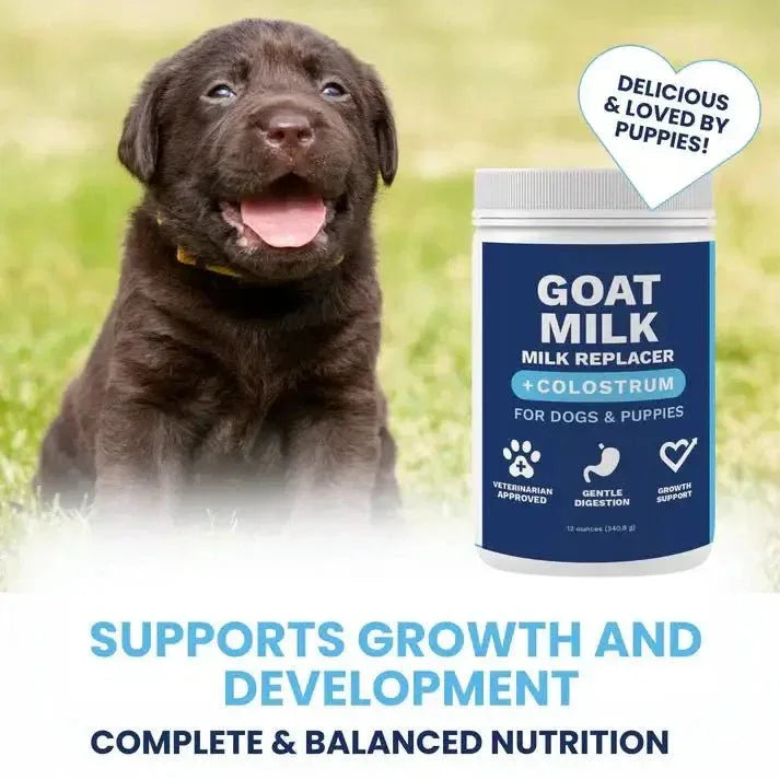 Under the Weather Goat Milk Replacer for Puppies 12 oz - Talis Us
