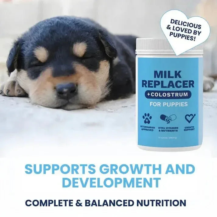 Under the Weather Puppy Milk Replacer with Colostrum 12 oz - Talis Us