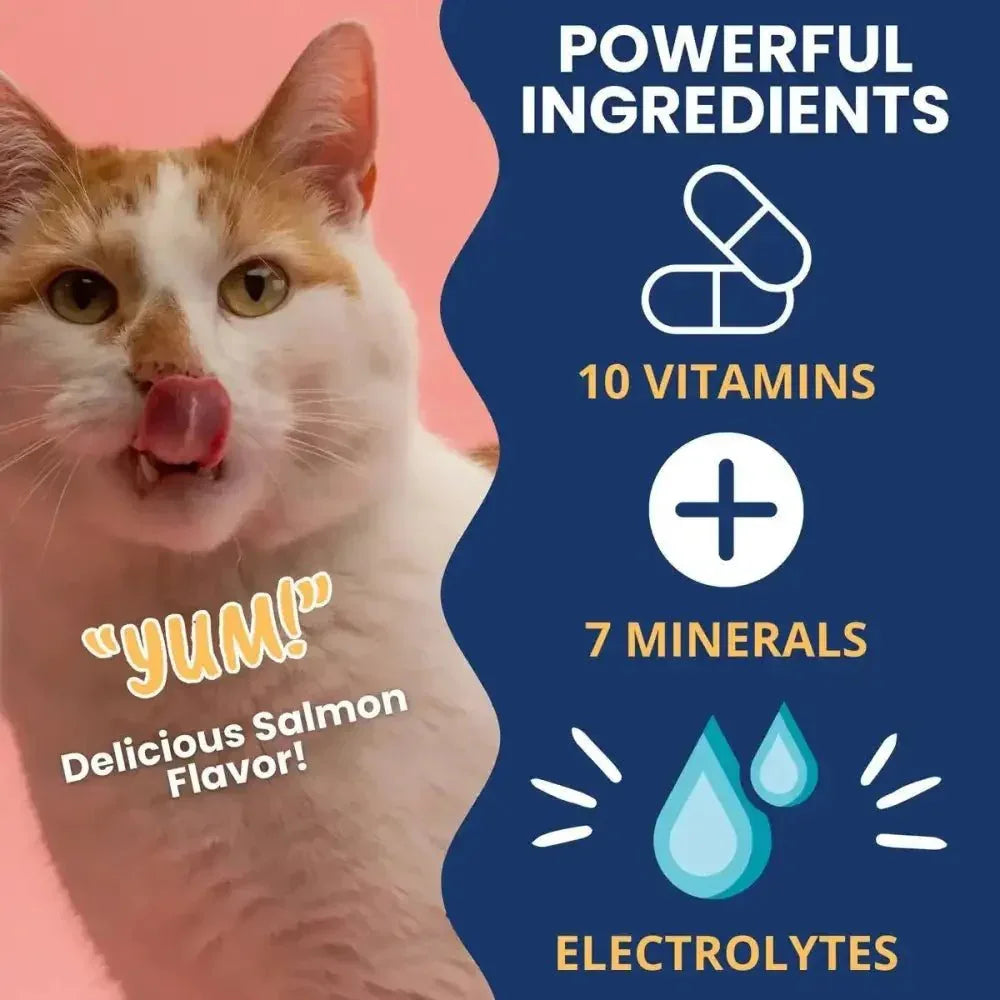 Under the Weather Ready Cal Plus w Electrolyes Squeezable for Cats 3.5oz - Talis Us