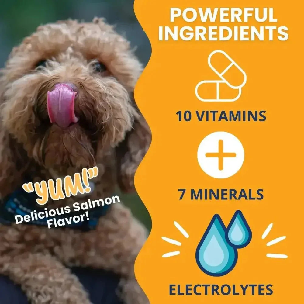 Under the Weather Ready Cal Plus w Electrolytes Squeezable for Dogs 3.5oz - Talis Us