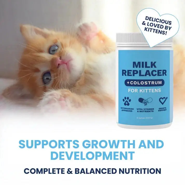 Under the Weather Milk Replacer for Kittens with Colostrum 12 oz - Talis Us