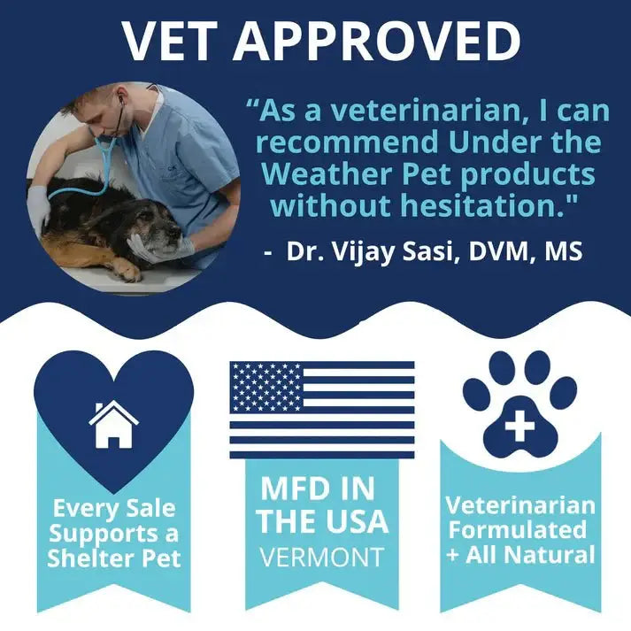 Under the Weather Milk Replacer for Kittens with Colostrum 12 oz - Talis Us