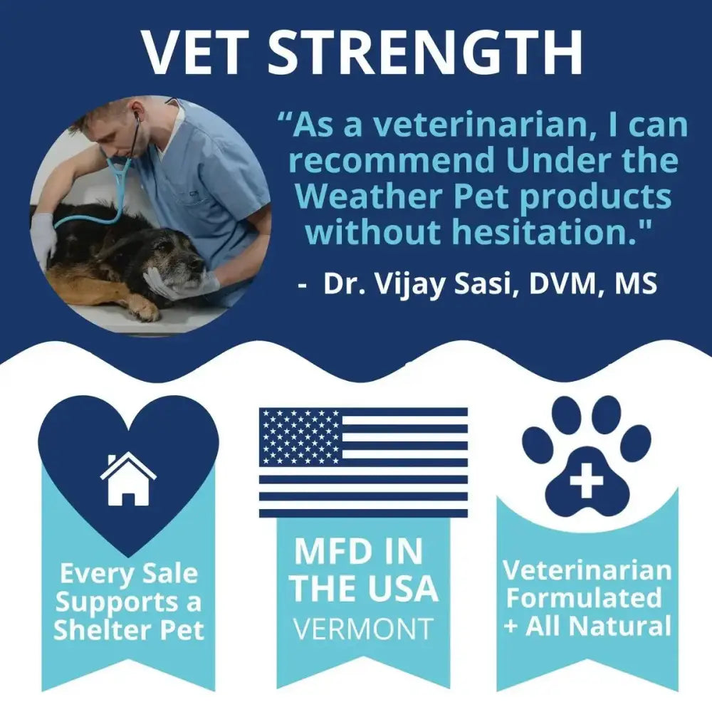 Under the Weather Ready Cal Plus w Electrolytes Squeezable for Dogs 3.5oz - Talis Us