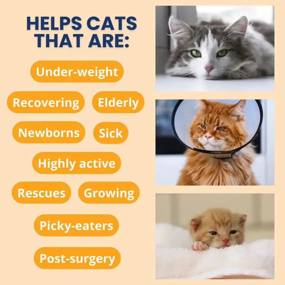 Under the Weather Ready Cal Plus w Electrolytes Squeezable for Dogs 3.5oz - Talis Us