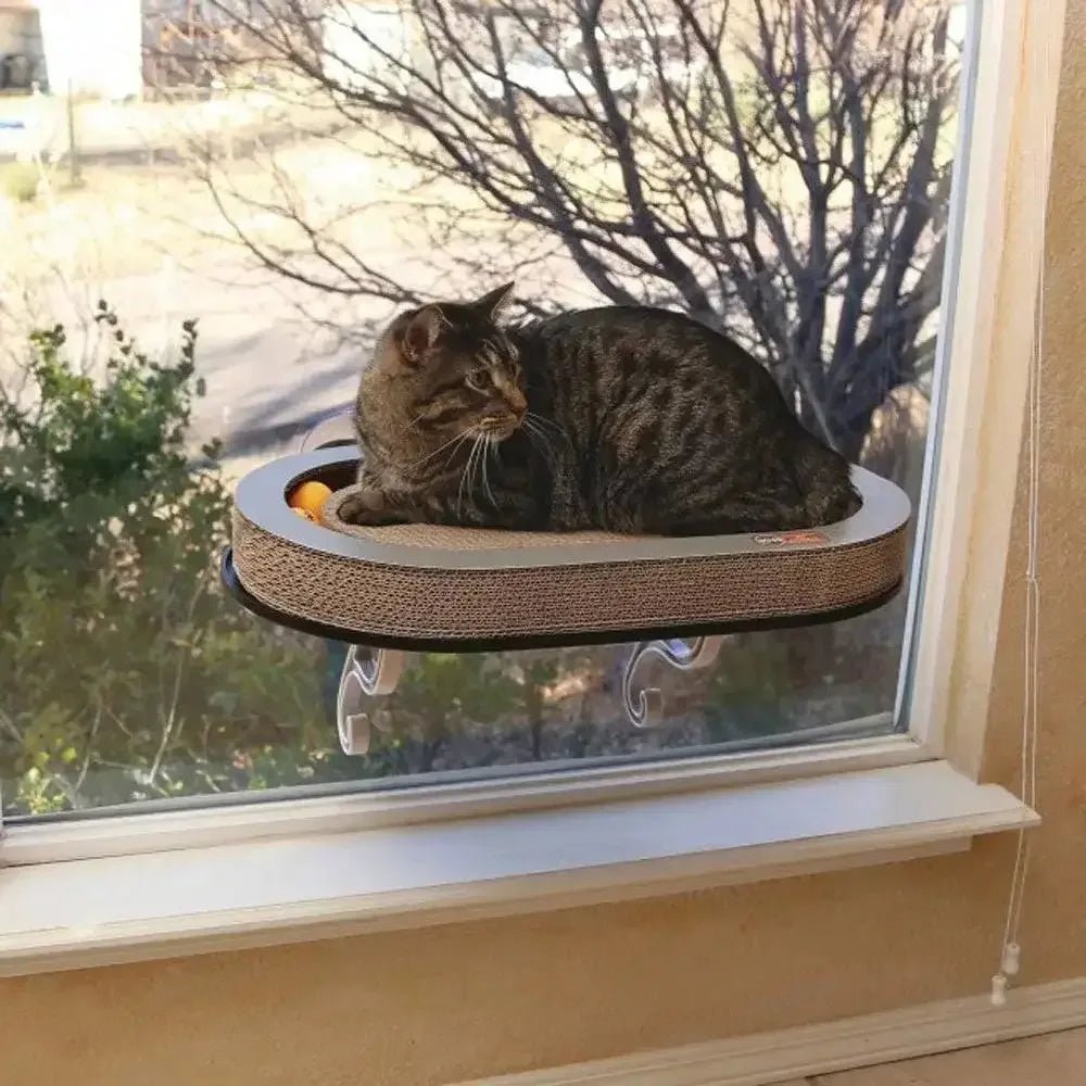 Universal Mount Kitty Sill with Cardboard track - Talis Us