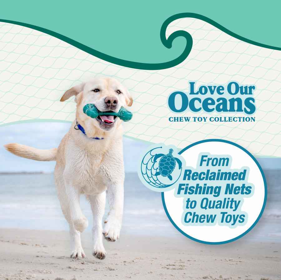 Nylabone Power Chew Love Our Oceans Barbell Dog Chew Toy