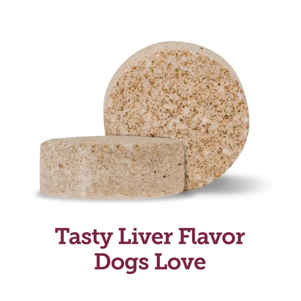 Vetality Canine Aspirin – Fast Acting Pain Relief for Dogs - Talis Us