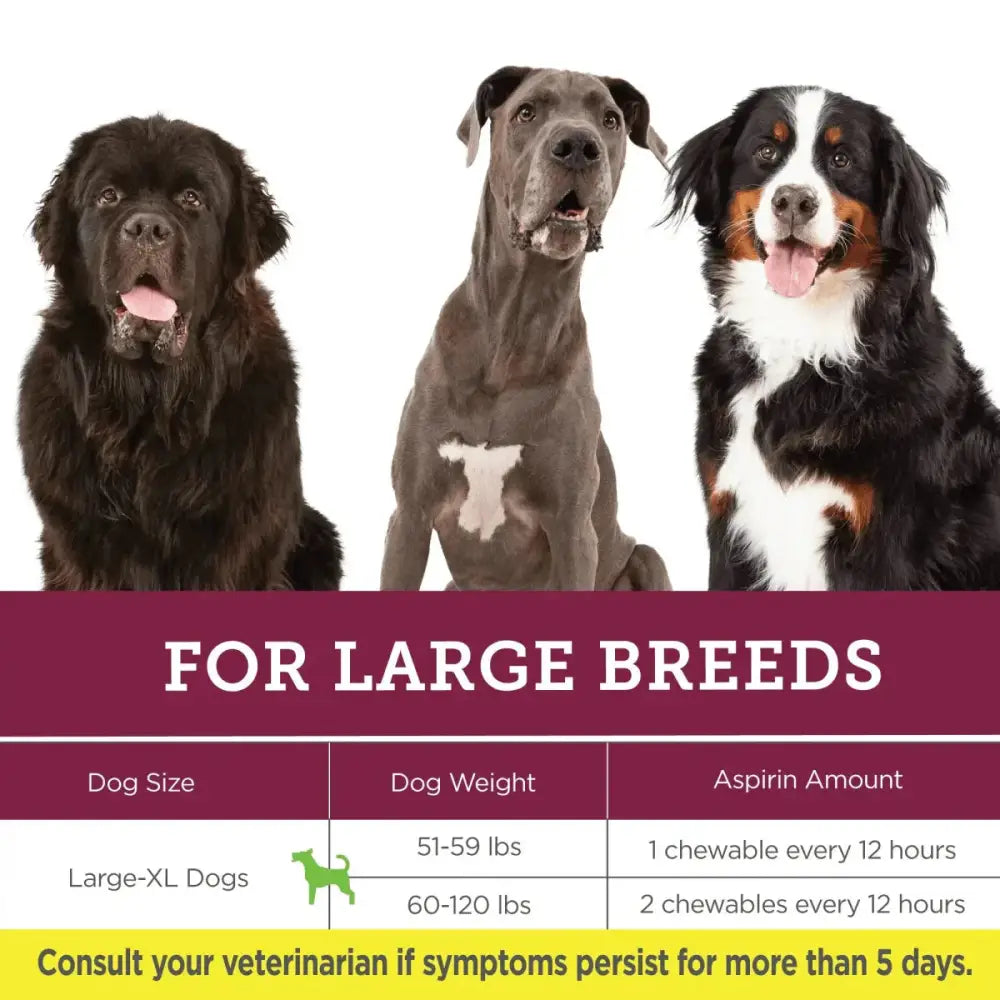 Vetality Canine Aspirin – Fast Acting Pain Relief for Dogs - Talis Us
