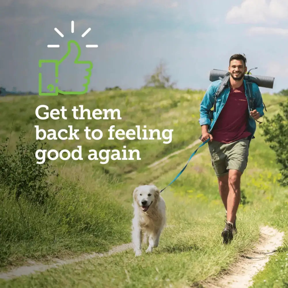 Vetality Canine Aspirin – Fast Acting Pain Relief for Dogs - Talis Us