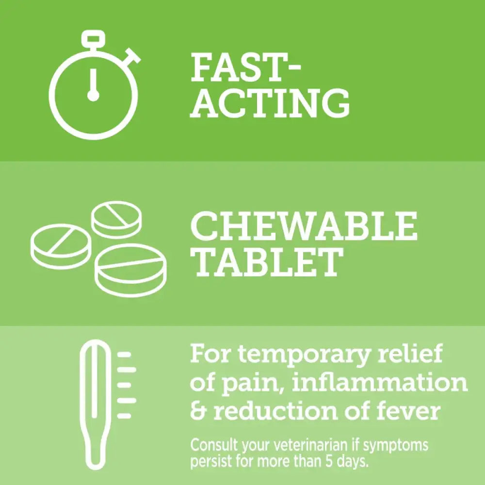 Vetality Canine Aspirin – Fast Acting Pain Relief for Dogs - Talis Us