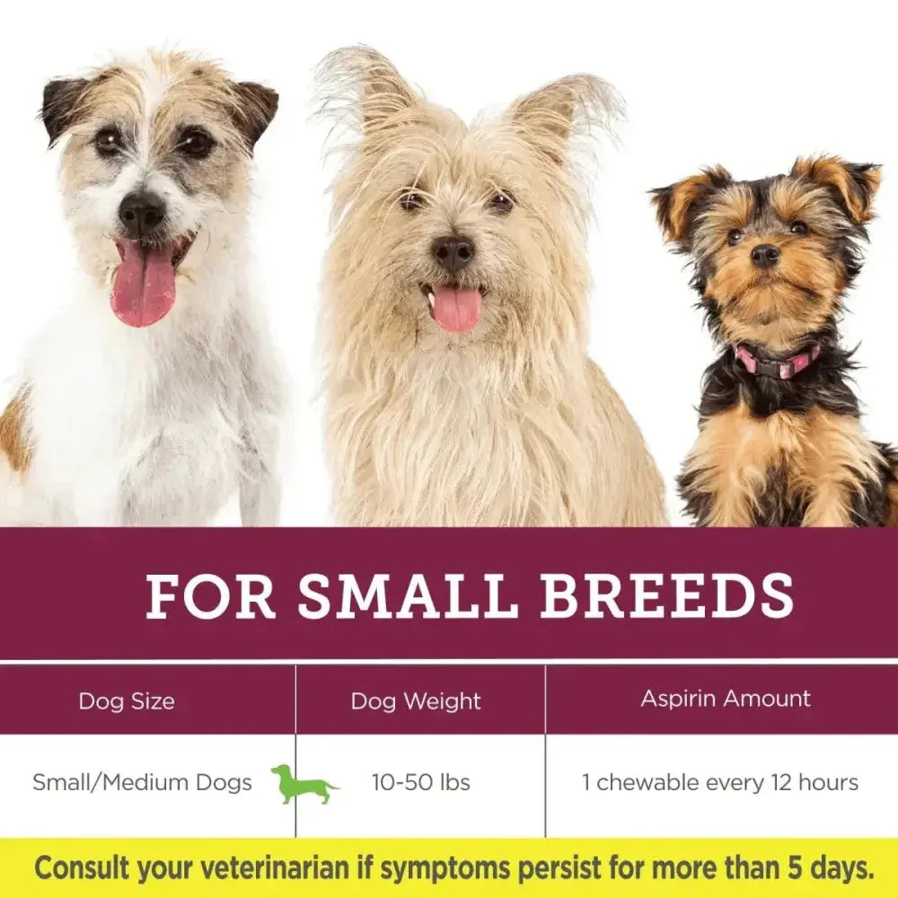 Vetality Canine Aspirin – Fast Acting Pain Relief for Dogs - Talis Us