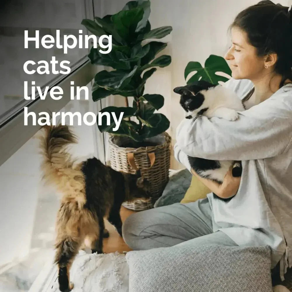 Vetality Harmony Pet Calming Litter Box Diffuser - Talis Us