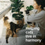 Vetality Harmony Pet Calming Spray for Cats 1.62 fl oz - Talis Us