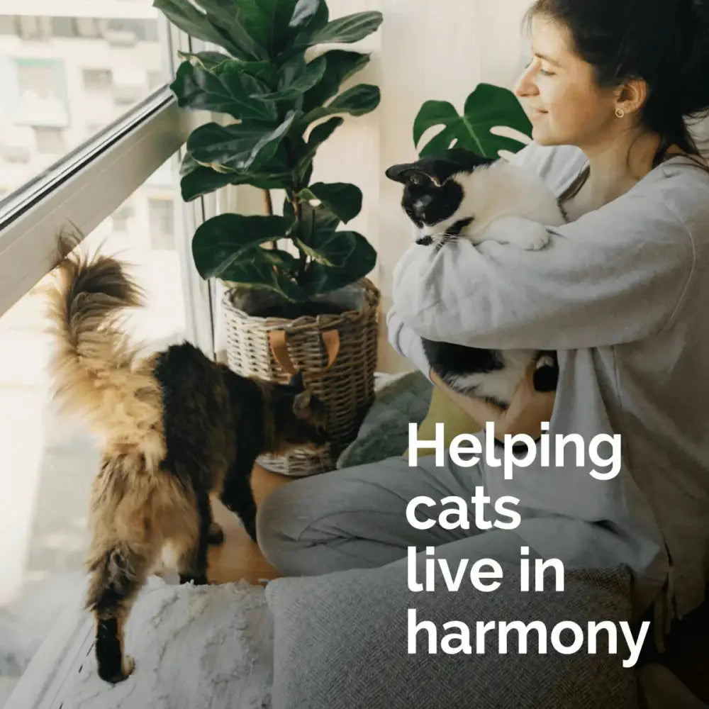 Vetality Harmony Pet Calming Spray for Cats 1.62 fl oz - Talis Us