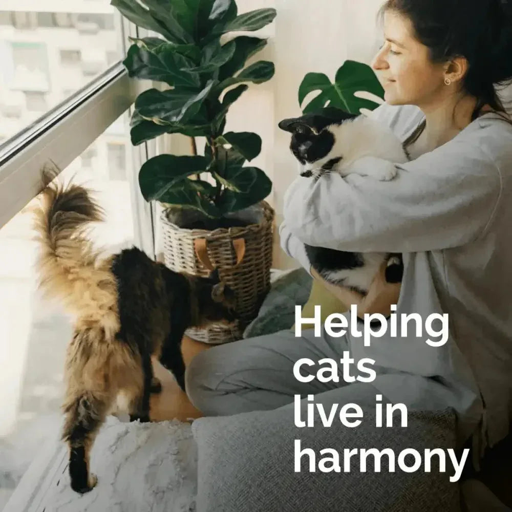 Vetality Harmony Pet Calming Spray for Cats 1.62 fl oz - Talis Us