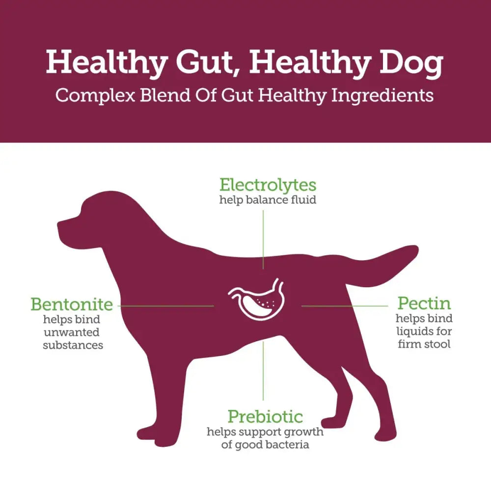 Vetality ‘Stop the Runs’ Anti - Diarrhea Chewable for Dogs 6 ct - Talis Us