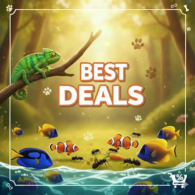 A vibrant green chameleon with striped patterns perches on a tree branch in a sunlit forest scene.