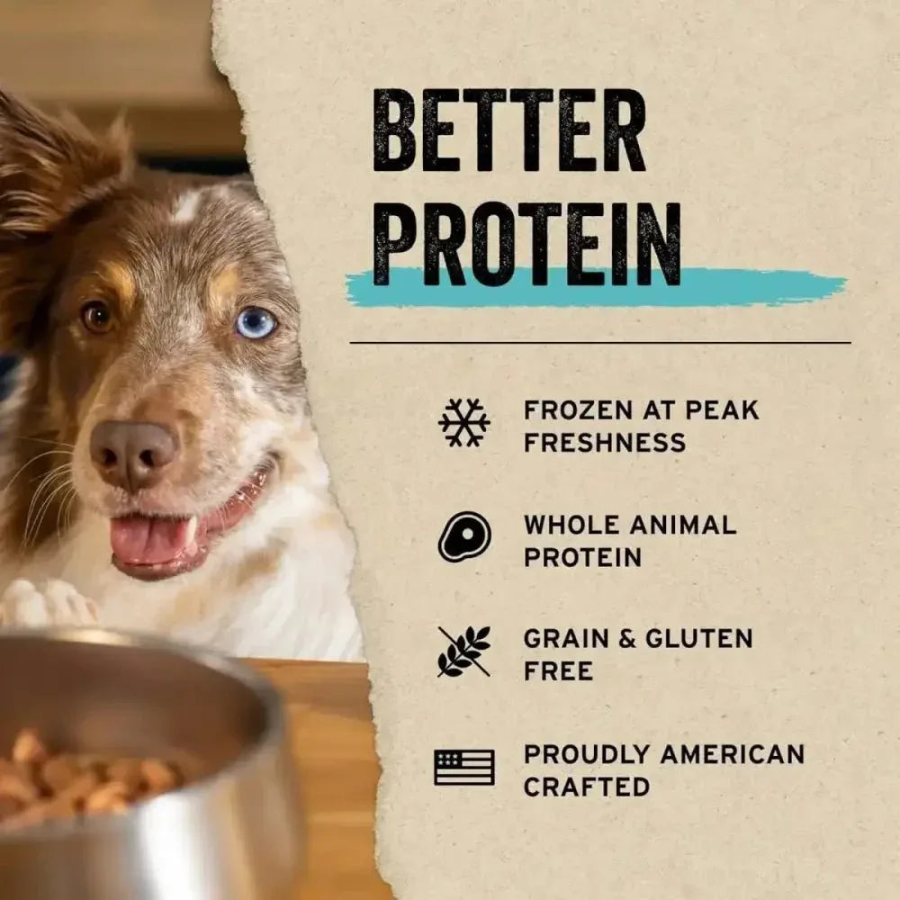 Vital Essentials® Freeze - Dried Minnows Dog Treats - Talis Us