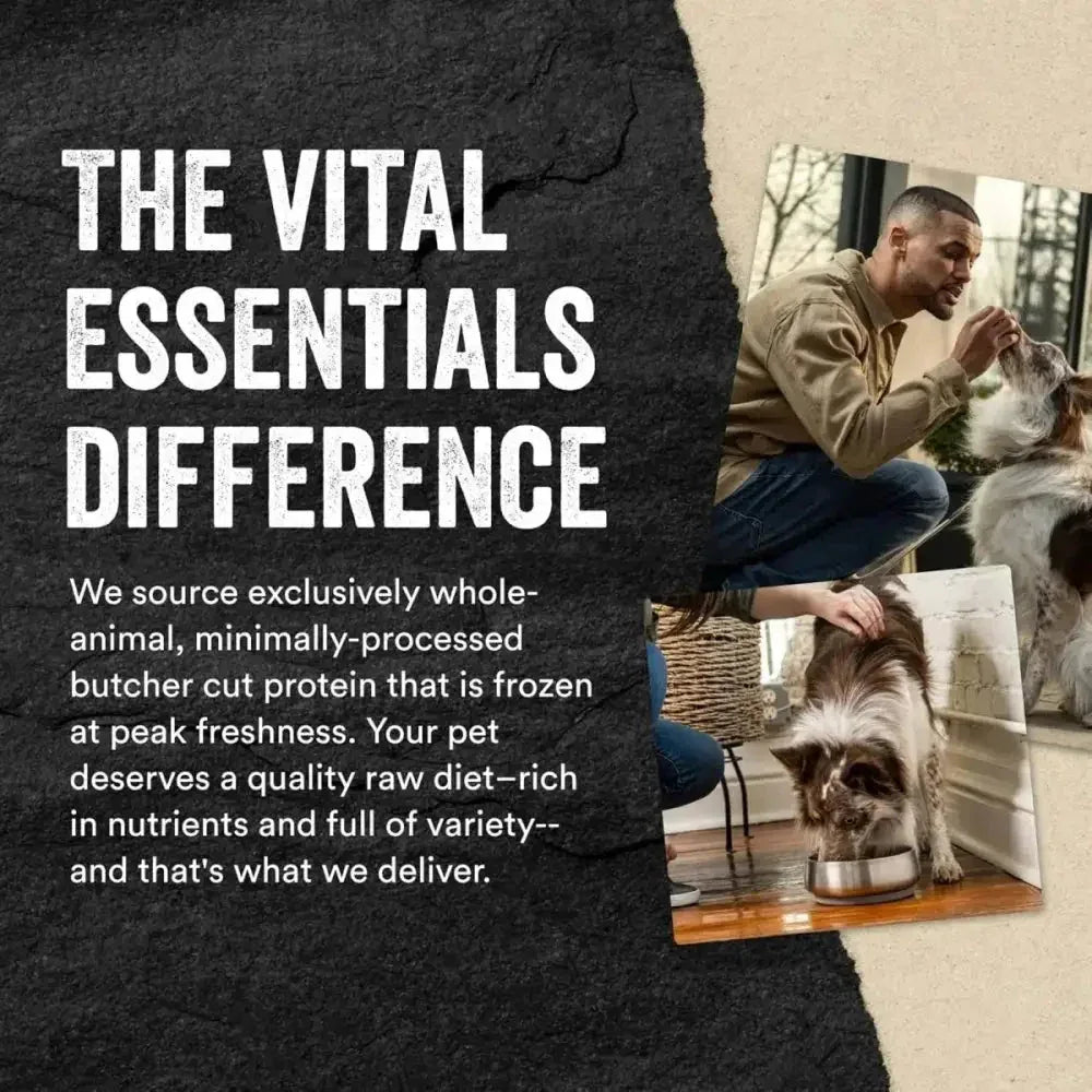 Vital Essentials® Freeze - Dried Raw Chicken Breast Dog Treats - Talis Us