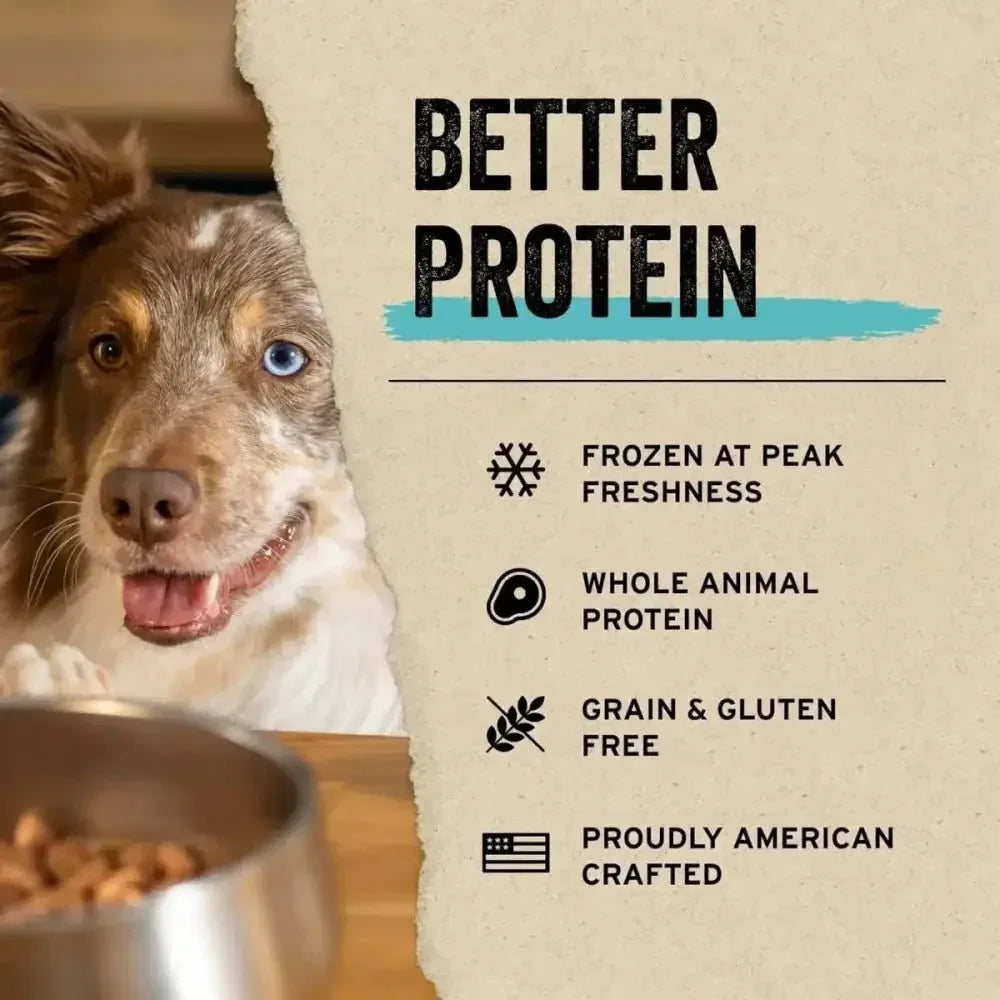 Vital Essentials® Freeze - Dried Raw Chicken Breast Dog Treats - Talis Us