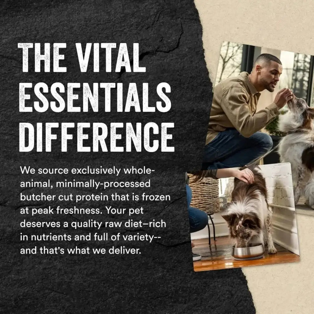 Vital Essentials® Freeze - Dried Minnows Dog Treats - Talis Us