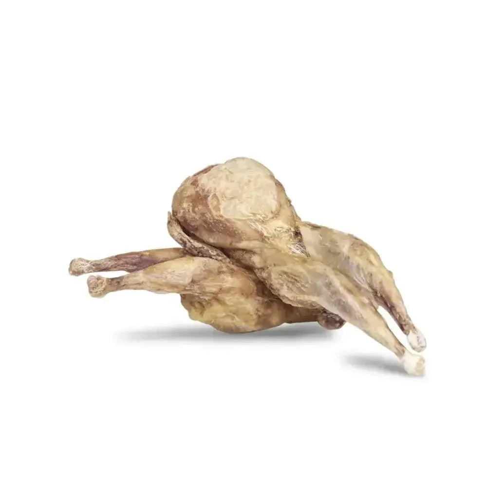 Vital Essentials RAW BAR Freeze - Dried Raw Quails Dog Snacks 20 pcs - Talis Us