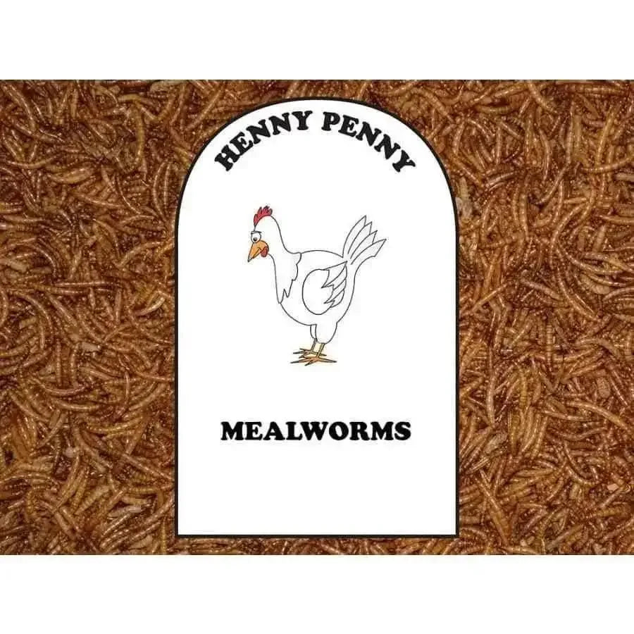 Volkman Seed Company Mealworms Chicken Food 1ea/1.25 lb Volkman Seed Company