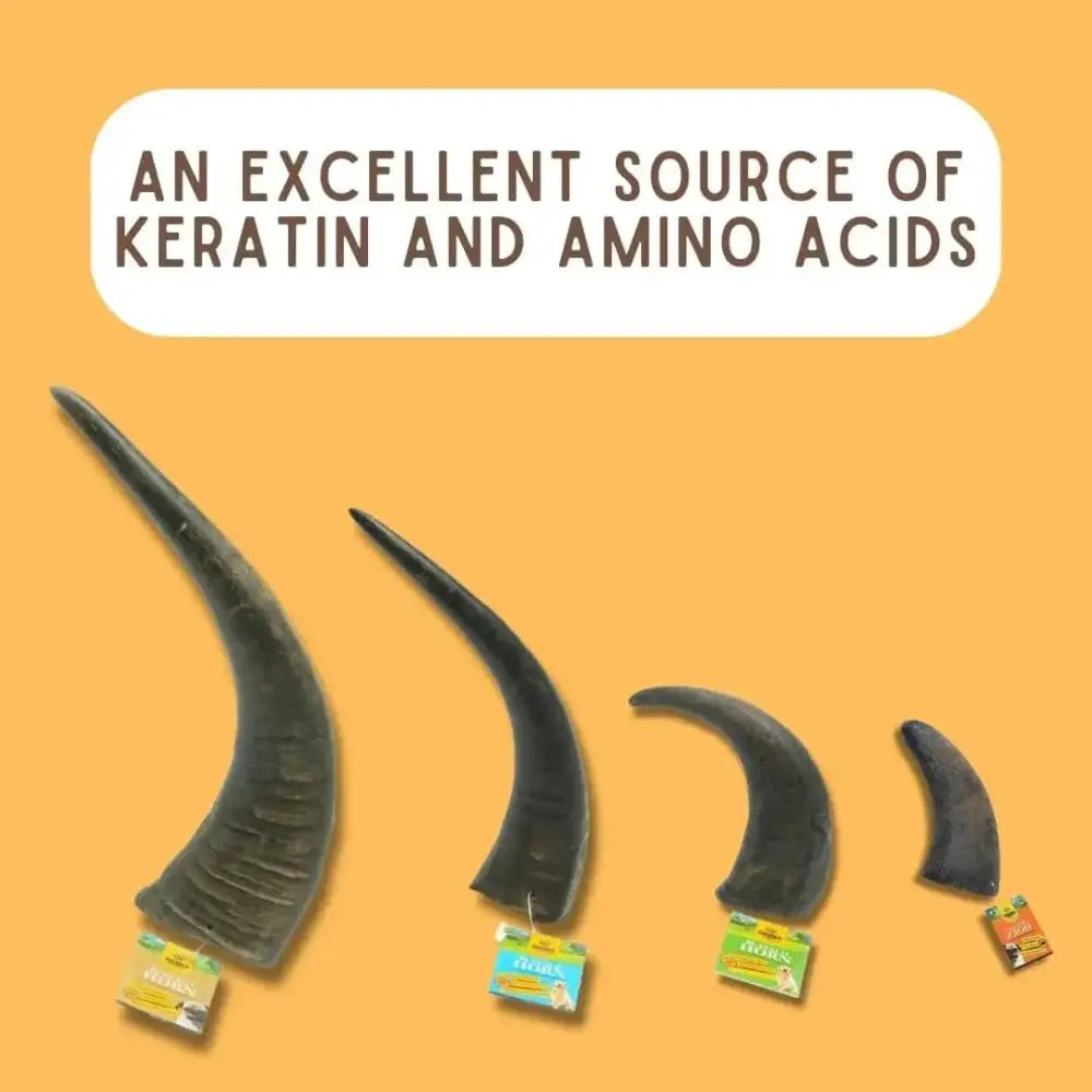 Water Buffalo Horn Chews for Aggressive Chewers Long Lasting and All Natural - Talis Us