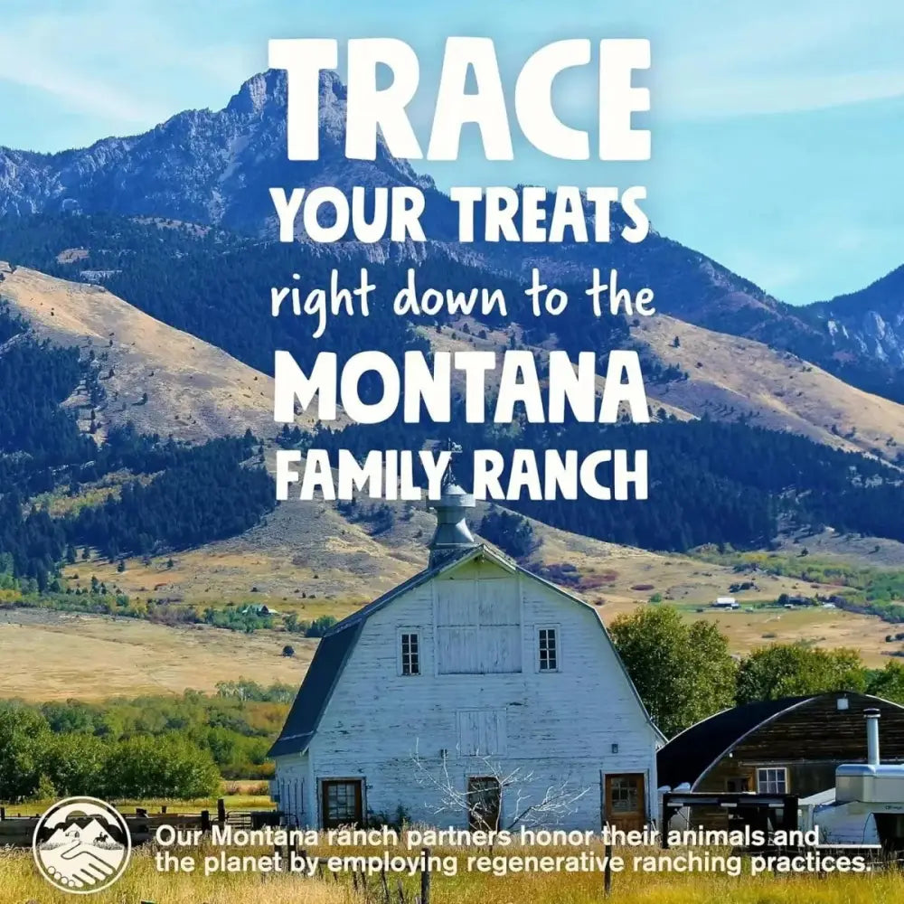 West Paw Montana Beef Sticks High - Protein Air - Dried Dog Treats - Talis Us