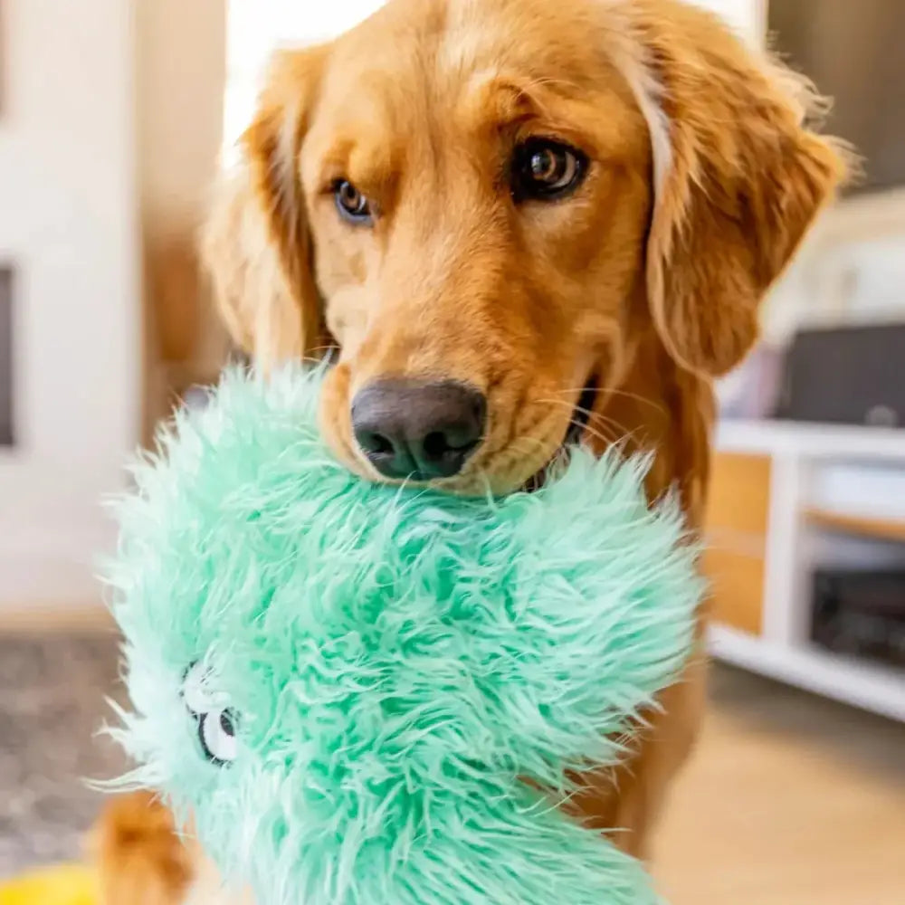 West Paw Rowdie Squeaky Plush Dog Toy - Talis Us