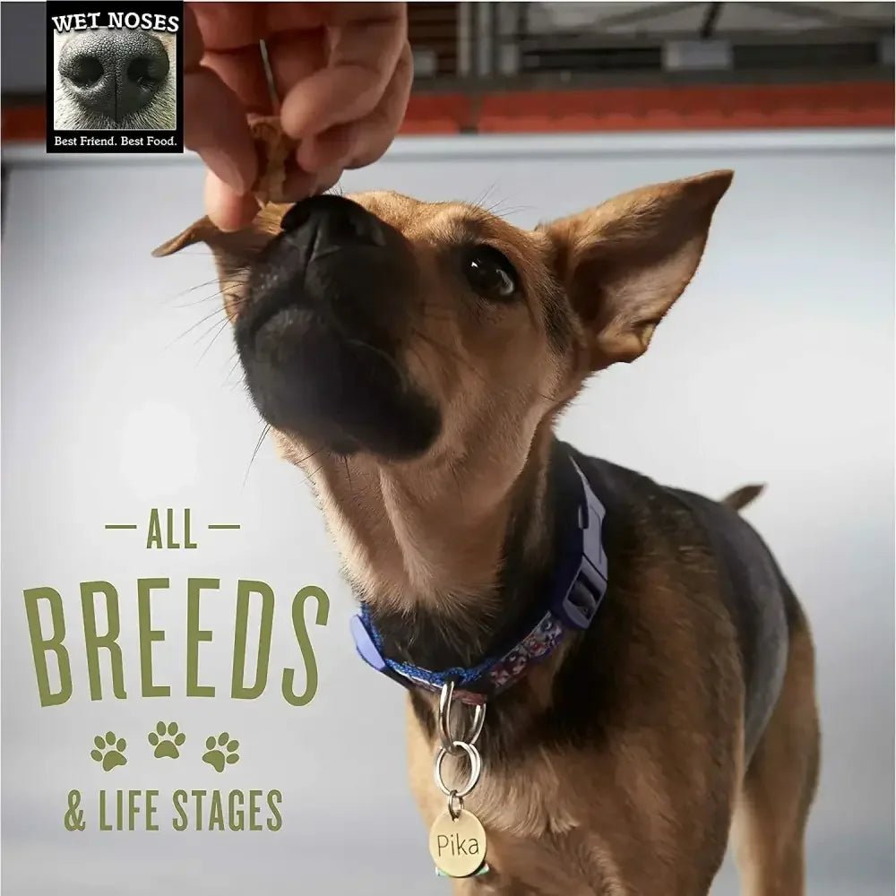Wet Noses Little Stars Organic Dog Training Treats 9 oz - Talis Us