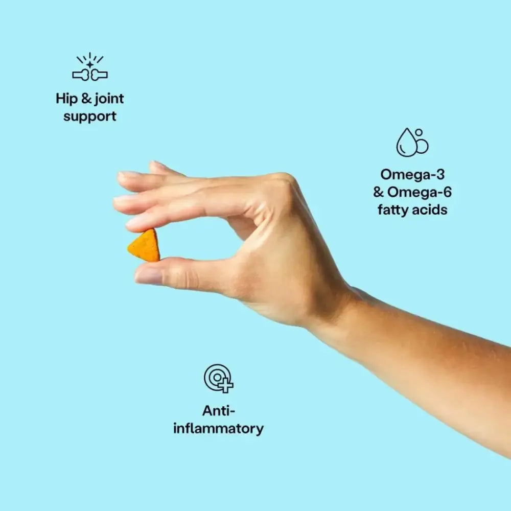 Wild Earth Hip & Joint Soft Chews Vegan Dog Supplements - Talis Us