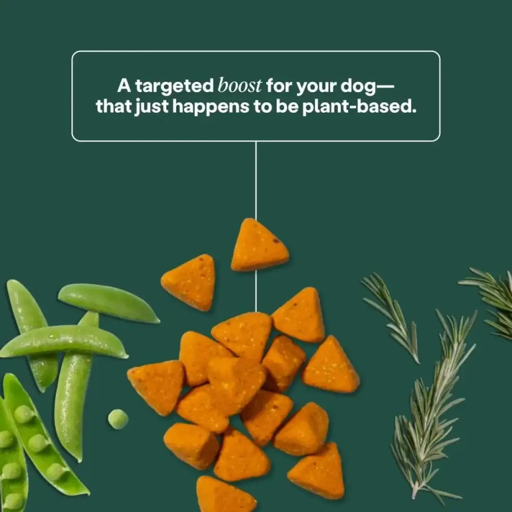 Wild Earth Hip & Joint Soft Chews Vegan Dog Supplements - Talis Us