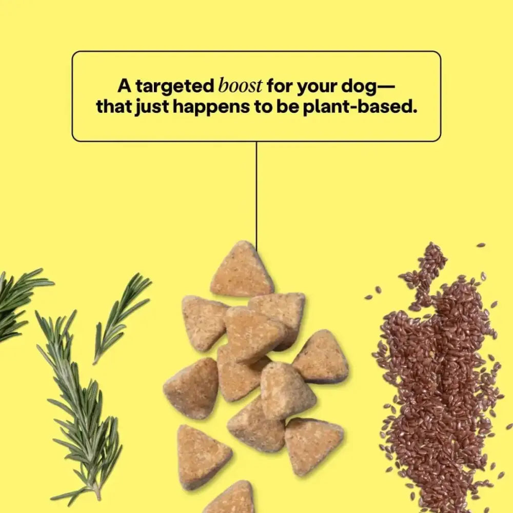 Wild Earth Immunity & Digestion Soft Chews Vegan Dog Supplements - Talis Us