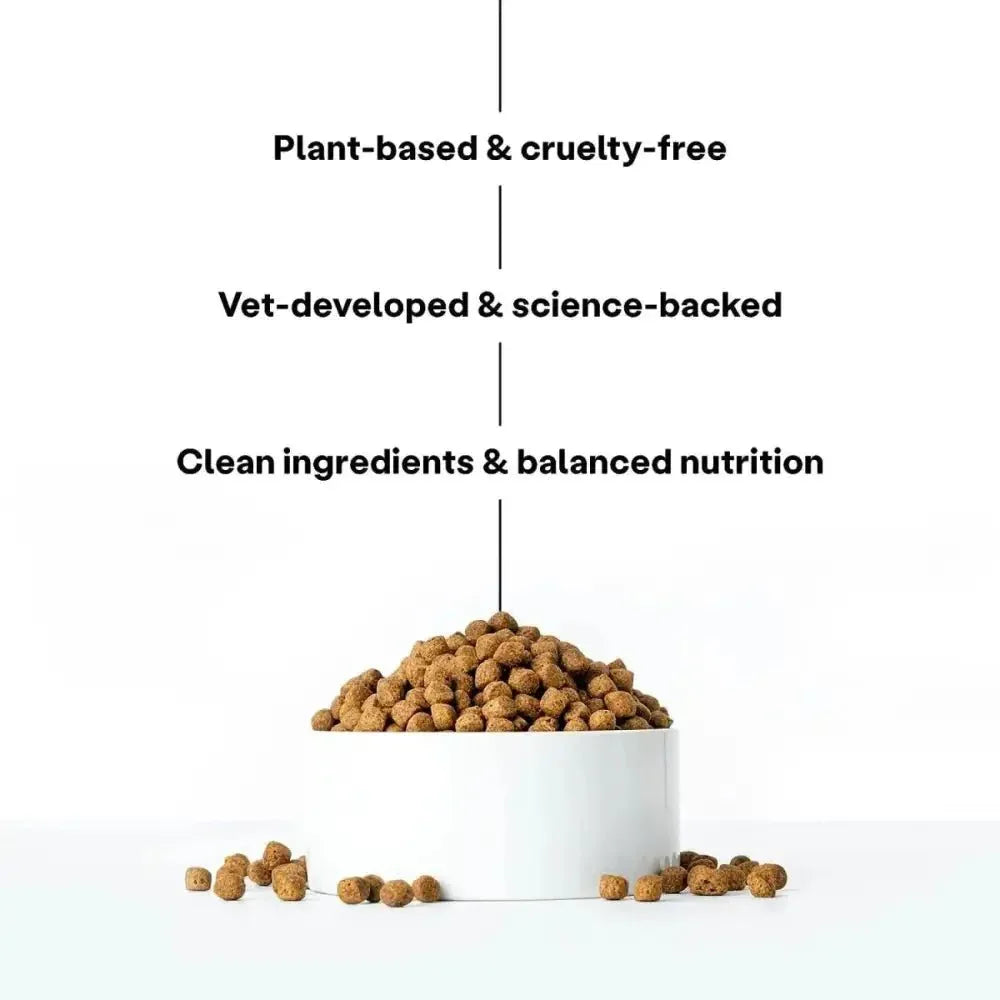 Wild Earth Maintenance Formula Vegan Dog Food Allergy Relief Classic Roast Flavor - Talis Us
