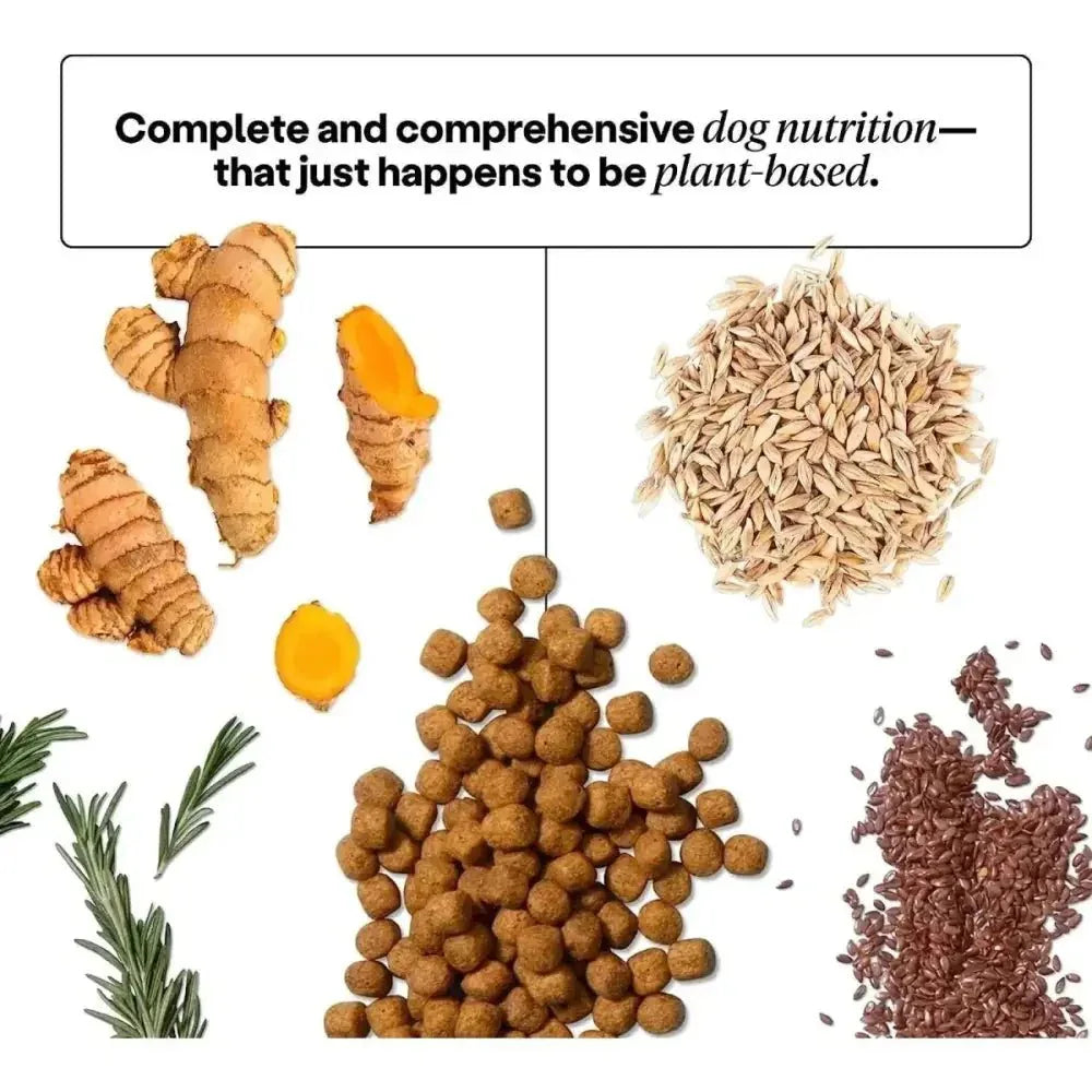 Wild Earth Maintenance Formula Vegan Dog Food Allergy Relief Classic Roast Flavor - Talis Us