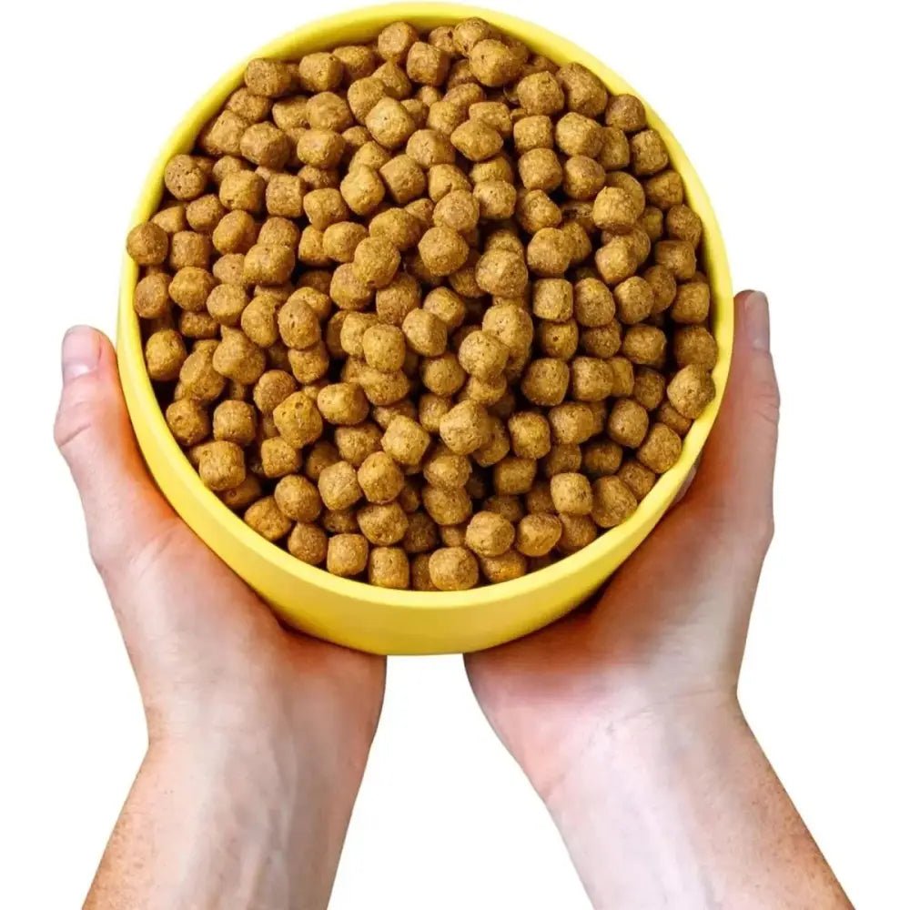 Wild Earth Maintenance Formula Vegan Dog Food Allergy Relief Golden Rotisserie Flavor - Talis Us