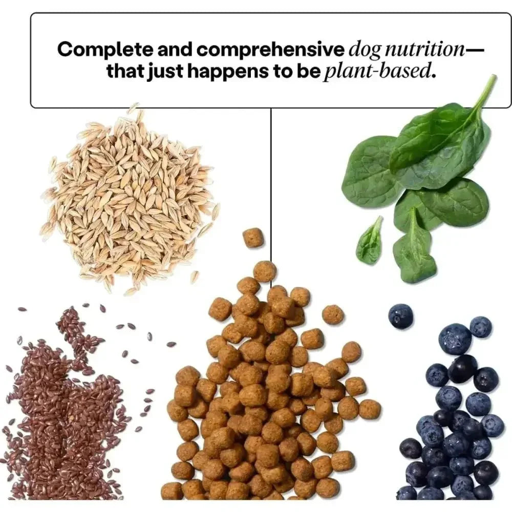 Wild Earth Performance Formula Vegan Dog Food Allergen Free Veggie - Talis Us