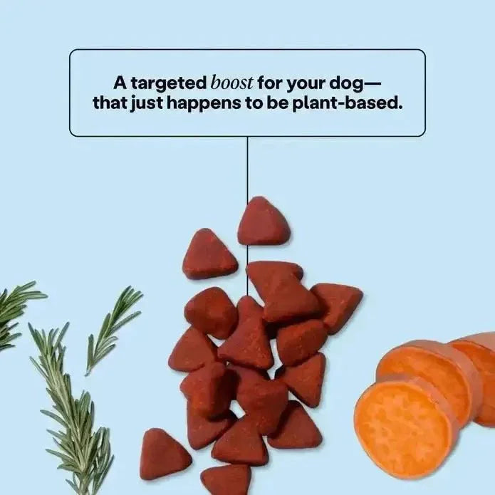 Wild Earth Skin & Coat Soft Chews Vegan Dog Supplements - Talis Us