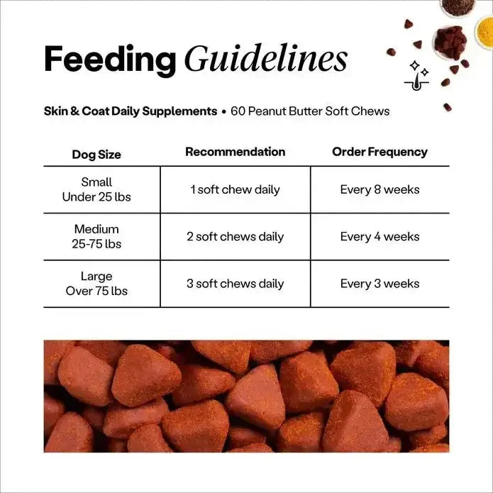 Wild Earth Skin & Coat Soft Chews Vegan Dog Supplements - Talis Us