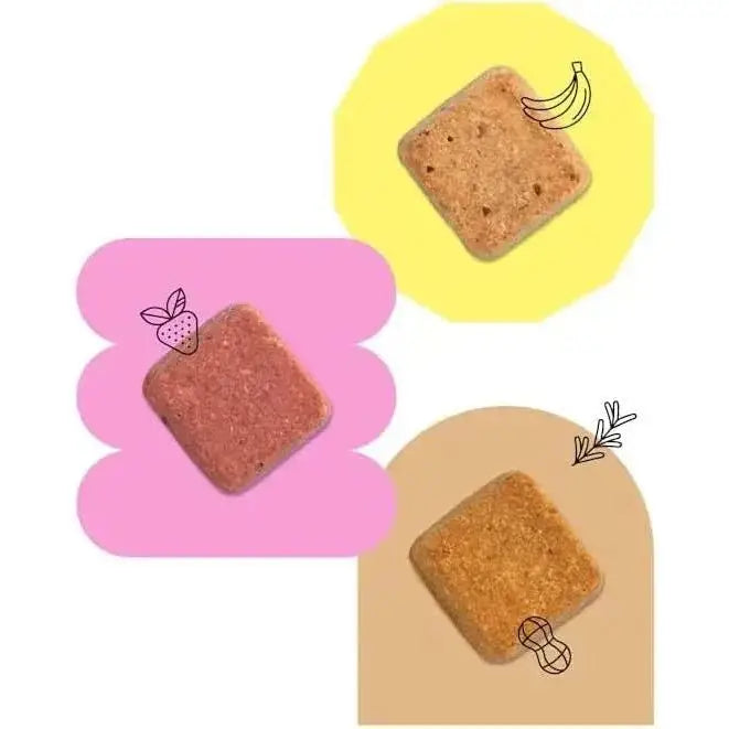 Wild Earth Superfood Vegan Dog Treats with Koji, Peanut Butter - Talis Us