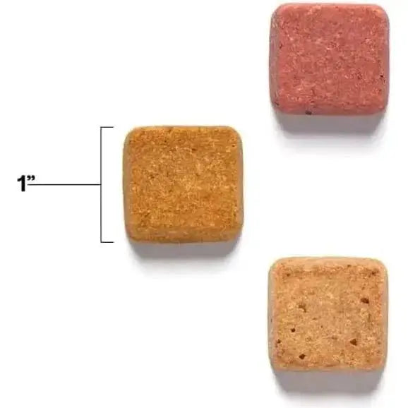 Wild Earth Superfood Vegan Dog Treats with Koji, Strawberry Beet 5oz - Talis Us