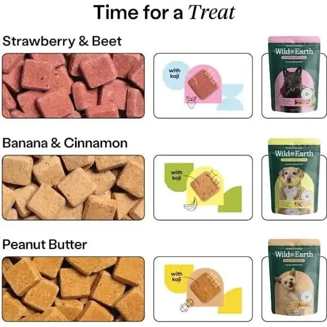 Wild Earth Superfood Vegan Dog Treats with Koji, Strawberry Beet 5oz - Talis Us