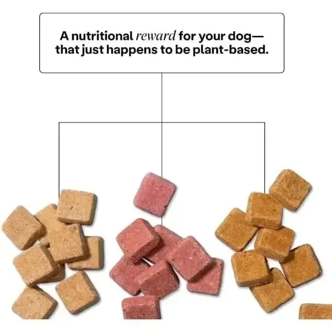 Wild Earth Superfood Vegan Dog Treats with Koji, Strawberry Beet 5oz - Talis Us