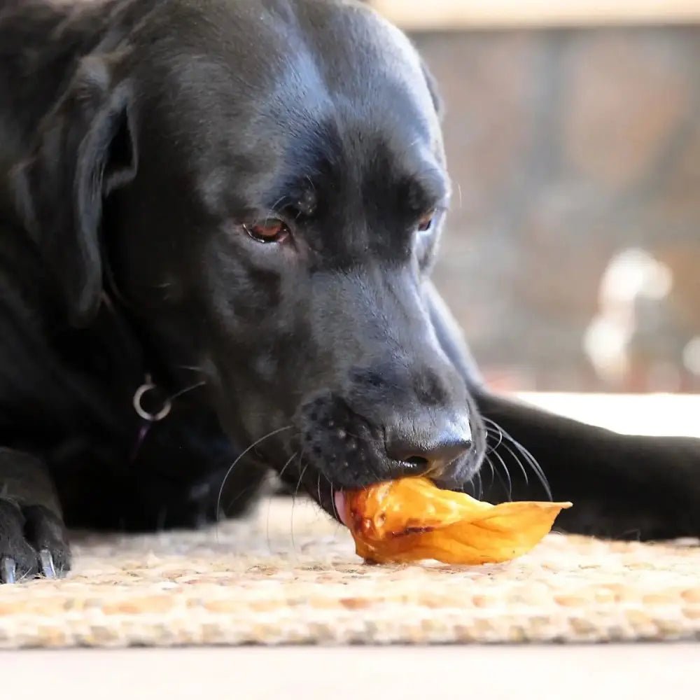 Wild Eats Natural Venison Single Ear Dog Treat Case of 3 - Talis Us